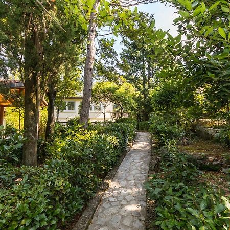 Apartmani "Ostro" Crikvenica Кралевица Екстериор снимка